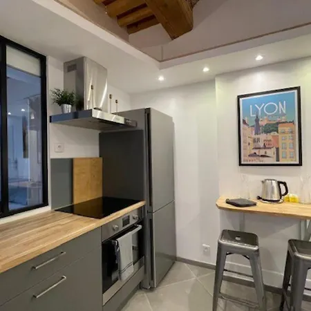 Apartment Le Petit St Pierre 2 Pers Valmy Lyon